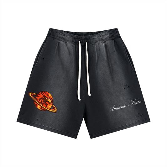 Planet Fenix Shorts